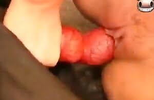 Tóc vàng show cô ấy sở thú khiêu dâm năng lực chết tiệt